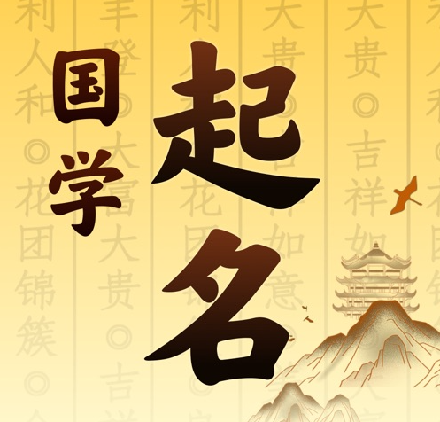 泰州国学起名 人工起名一对一