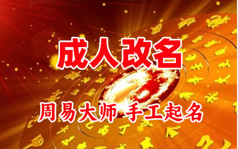 泰州成人改名-找大师一对一改名先分析后改名